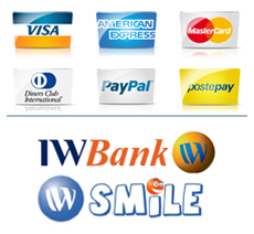 Payment Icon