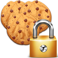 privacy and cookies icon